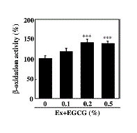 Groene thee-extract verhoogt vetverbranding, verbetert duurvermogen