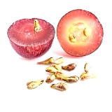Grape Seed Extract houdt grote eter op gewicht