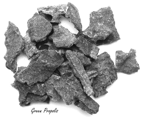 Patient met covid sneller weer naar huis door Green Propolis