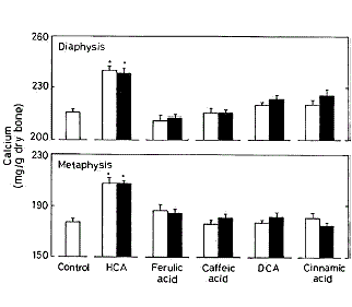 Zuur in groenten is anabool voor skelet