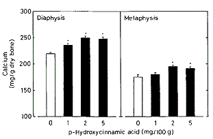 Zuur in groenten is anabool voor skelet
