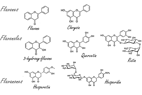 Hesperetine, de cellulaire rejuvenator uit citrusvruchten