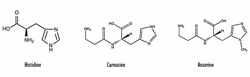 Op zoek naar een honderd procent veilige en effectieve pre-workout-formule? Probeer kippensoep...