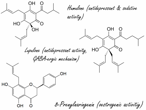 Minder depressie, angst en stress door hop