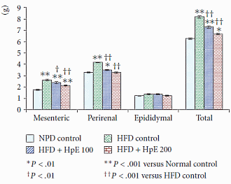 Te zwaar en somber? Sint Janskruid slaat twee vliegen in één klap