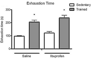 Dierstudie: ibuprofen is eigenlijk een dopingmiddel