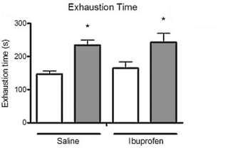 Dierstudie: ibuprofen is eigenlijk een dopingmiddel