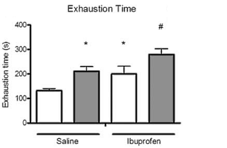 Dierstudie: ibuprofen is eigenlijk een dopingmiddel
