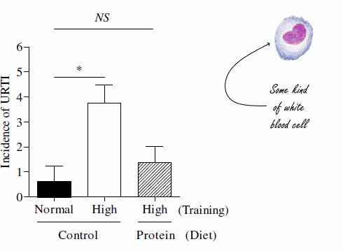 Hard trainen zonder negatief effect op het immuunsysteem? Eet meer eiwitten...