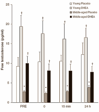 DHEA-suppletie bevordert anabolisme na intervaltraining