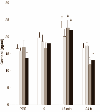 DHEA-suppletie bevordert anabolisme na intervaltraining