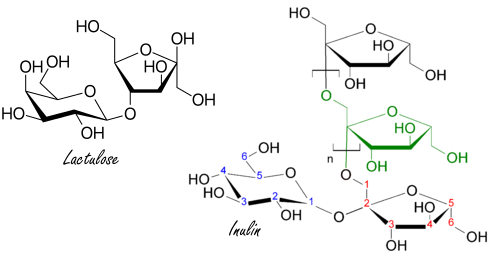 Prebiotica voor sterke botten | Inuline & lactulose