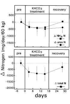 Dieet met veel kalium werkt spieropbouw in de hand
