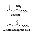 Pre-workoutsupplement alpha-keto-isocaproic acid [KIC] doet weinig in humane studie