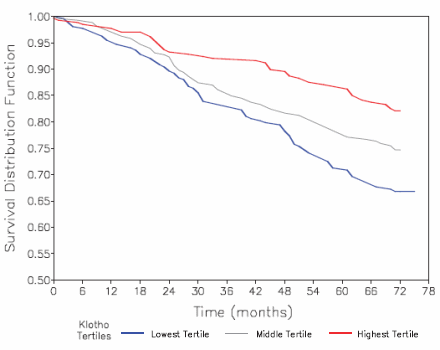 Meer stress, minder longevity-hormoon