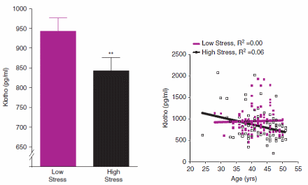 Meer stress, minder longevity-hormoon