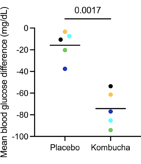 Lichaam gaat beter om met glucose door kombucha