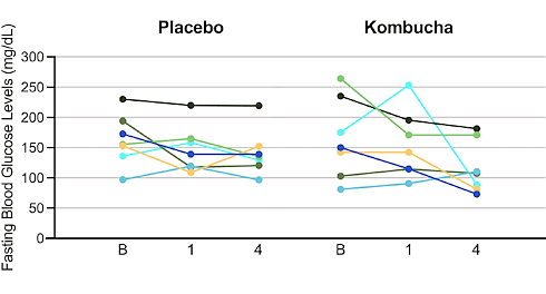 Kombucha laat het lichaam beter omgaan met glucose