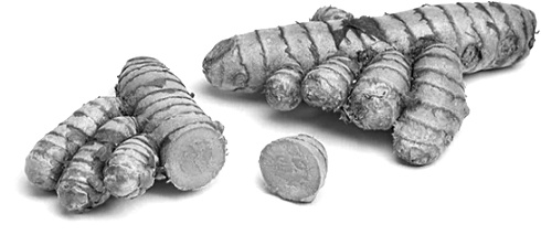 Curcumin, de voornaamste bioactieve stof in kurkuma, remt de aanmaak van estradiol. Hoe de antioestrogene werking van curcumine precies elkaar steekt, daarnaar hebben de onderzoekers van Hubei University of Medicine in China niet gekeken. Maar dat maakt hun in vitro-studie niet minder interessant.
