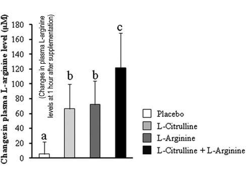 Waarom NO-boosters met een bescheiden hoeveelheid arginine en citrulline toch effectief kunnen zijn