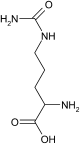 Dierstudie: suppletie met citrulline versnelt heling van gebroken botten