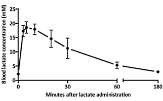Melkzuur houdt je fit, gezond en jong