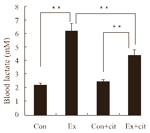 Suppletie met het aminozuur L-citrulline stelt tijdens intensieve inspanningen het moment uit dat je door uitputting moet ophouden. Dat blijkt uit een dierstudie die onderzoekers van de University of Tsukuba hebben gepubliceerd in de Journal of Nutritional Science and Vitaminology.