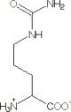 L-Citrulline