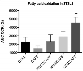 Als afslankmiddel werkt cafeine beter in combinatie met leucine