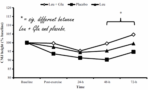 Glutamine versterkt spierversterkende werking leucine