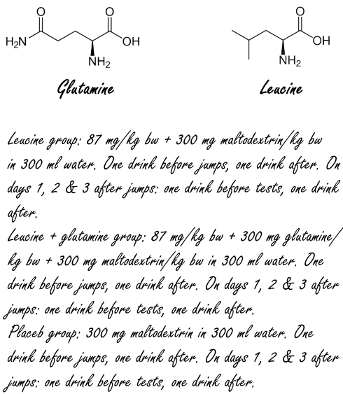 Glutamine versterkt spierversterkende werking leucine
