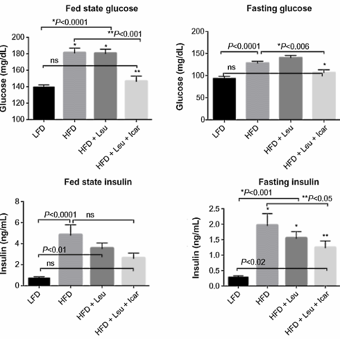 De ongekende mogelijkheden van de Horny Goat Weed-leucine-cocktail