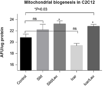 De ongekende mogelijkheden van de Horny Goat Weed-leucine-cocktail