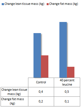 Leucine stimuleert spiergroei zonder training
