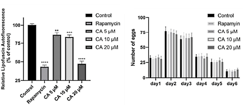 Is curcumine-acetylsalicylaat een levensverlenger?