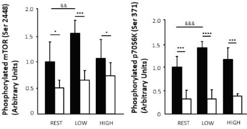 Laag-intensieve cardio stimuleert spiergroei door krachttraining, hoog-intensieve cardio niet