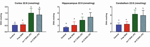 Nieuwe omega-3-analoog sn1-DHA-LPC verbetert geheugen