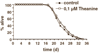 L-Theanine verlengt levensduur in dierstudie