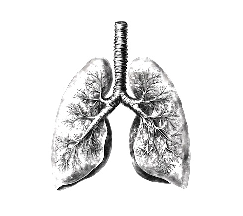 Supplement met omega-3-vetzuren tilt functioneren longen op een hoger plan