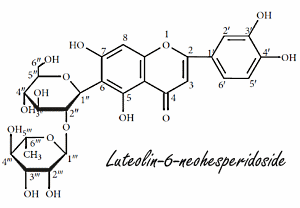 Luteolin-6-Neohesperidoside, de staminafactor in reuzenbamboe