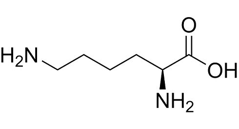 Combinatie van L-lysine en L-arginine vermindert stress en verlaagt cortisolspiegel