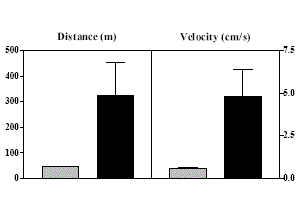 Marathonmuis leeft langer