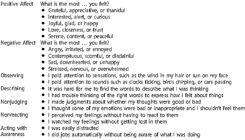 Kwartiertje mediteren ongeveer gelijk aan dagje vrij