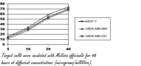 Het antikanker-effect van citroenmelisse