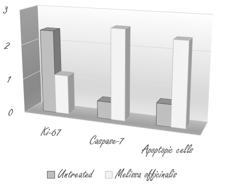 Het antikanker-effect van citroenmelisse