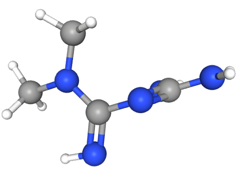 Metformine, een oud diabetesmedicijn dat de levensduur verlengt