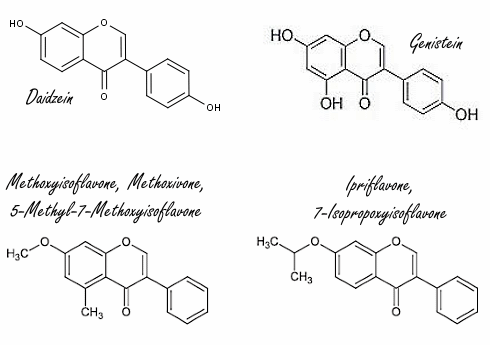 In vitro-studie: methoxyisoflavone en ipriflavone hebben een antioestrogene werking