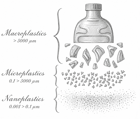 Chitosan blokkeert opname microplastics uit voeding | Humaan onderzoek