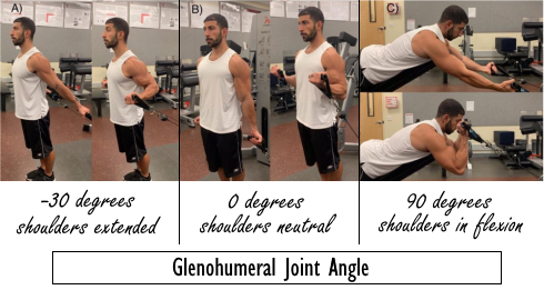 multi-angular-training-for-biceps.jpg
