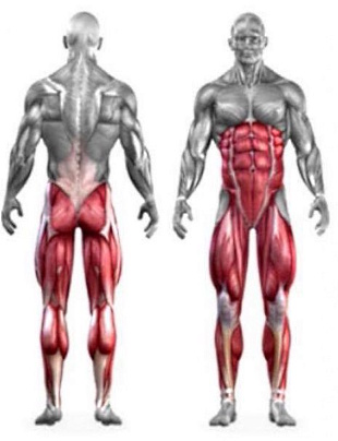 Verandering van de positie van de stang maakt van de reguliere squat een andere oefening